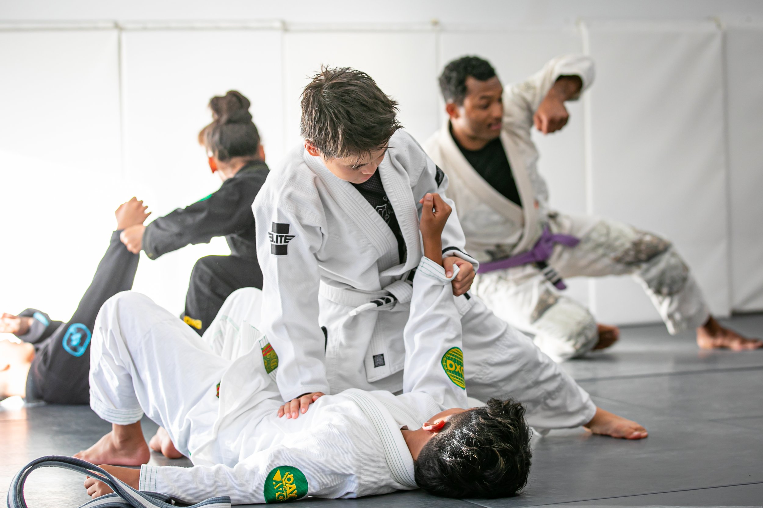 Jiujitsu Training Hawaii